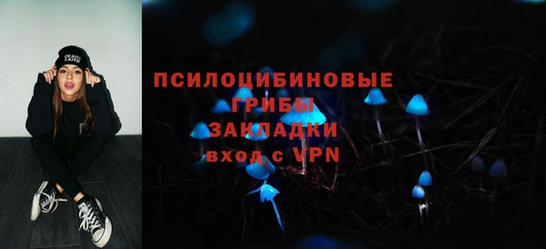 герыч Арсеньев