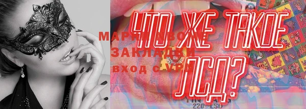 гидропоника Болохово