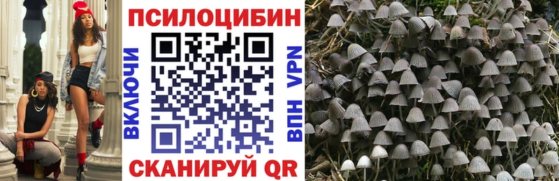 Галлюциногенные грибы GOLDEN TEACHER  Боровск 